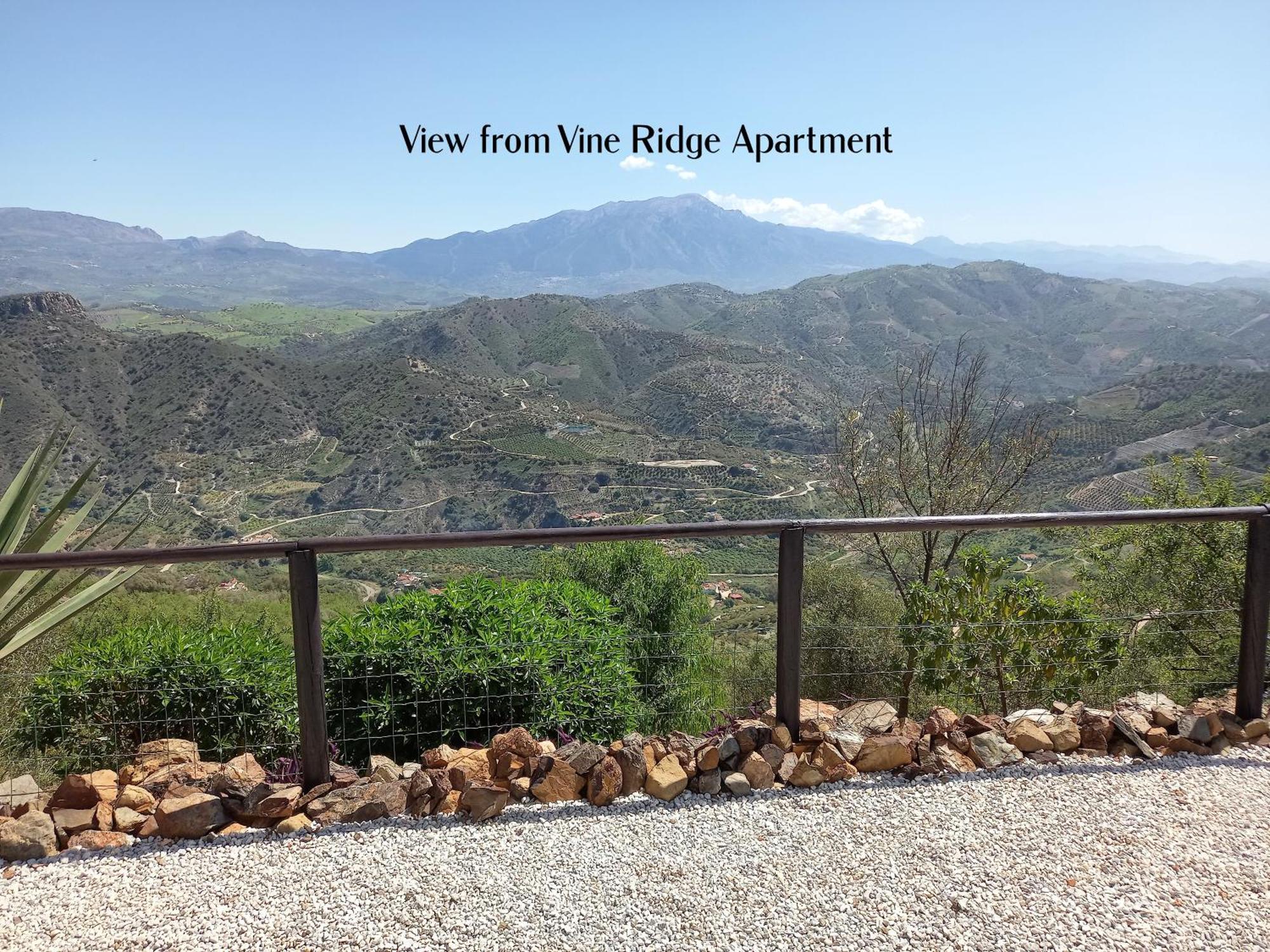 Vine Ridge Studio And Apartment Comares Eksteriør bilde